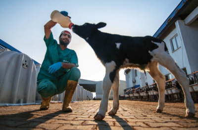 7. TARIM VE İNSAN FOTOĞRAF YARIŞMASI - Batuhan BECEREN 