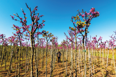 7. TARIM VE İNSAN FOTOĞRAF YARIŞMASI - Özlem KOÇ