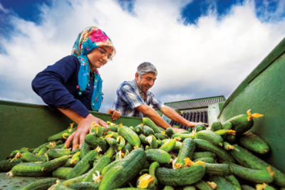 7. TARIM VE İNSAN FOTOĞRAF YARIŞMASI - Burcu EMEKTAR