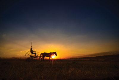 7. TARIM VE İNSAN FOTOĞRAF YARIŞMASI - Ahmet HARMANCI