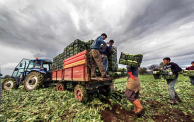 7. TARIM VE İNSAN FOTOĞRAF YARIŞMASI - Alahattin KANLIOĞLU