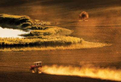 7. TARIM VE İNSAN FOTOĞRAF YARIŞMASI - Ali Haydar CEYLAN