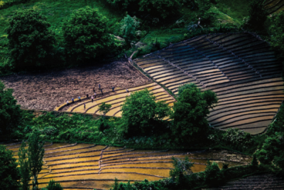 7. TARIM VE İNSAN FOTOĞRAF YARIŞMASI - Ali İhsan ÖZTÜRK 