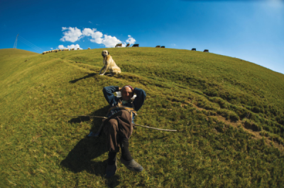 7. TARIM VE İNSAN FOTOĞRAF YARIŞMASI - Arif MİLETLİ