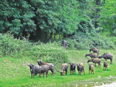 7. TARIM VE İNSAN FOTOĞRAF YARIŞMASI - Aslan ÇAKIR