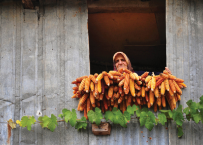 7. TARIM VE İNSAN FOTOĞRAF YARIŞMASI - Aytül AKBAŞ