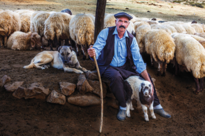 7. TARIM VE İNSAN FOTOĞRAF YARIŞMASI - Bayram AYHAN