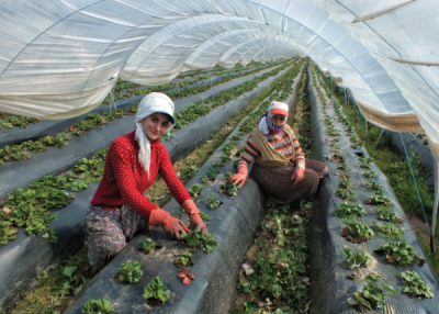 7. TARIM VE İNSAN FOTOĞRAF YARIŞMASI - Berrin KIRCAKLI