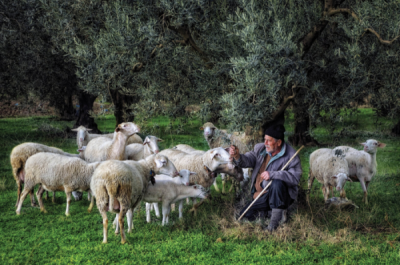 7. TARIM VE İNSAN FOTOĞRAF YARIŞMASI - Bülent SUBERK 
