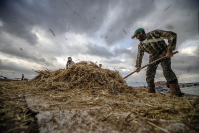 7. TARIM VE İNSAN FOTOĞRAF YARIŞMASI - Caner BAŞER
