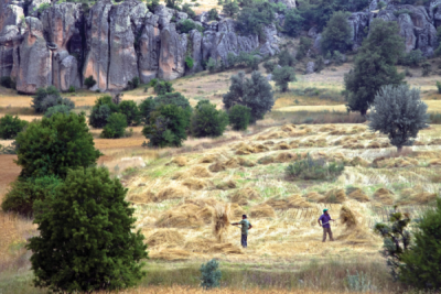 7. TARIM VE İNSAN FOTOĞRAF YARIŞMASI - Celal GEZİCİ