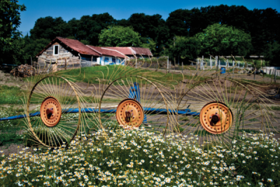 7. TARIM VE İNSAN FOTOĞRAF YARIŞMASI - Cem ELBİR