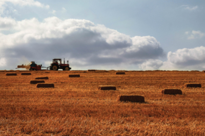 7. TARIM VE İNSAN FOTOĞRAF YARIŞMASI - Dilek ERİM