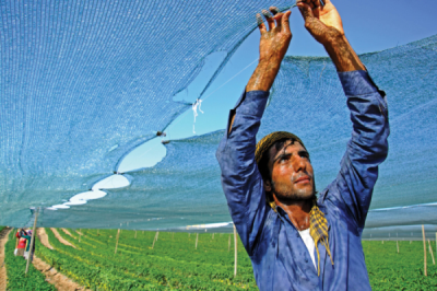 7. TARIM VE İNSAN FOTOĞRAF YARIŞMASI - Fuat YETKİN