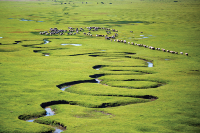 7. TARIM VE İNSAN FOTOĞRAF YARIŞMASI - Galip ÇETİNER