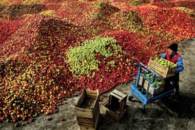 7. TARIM VE İNSAN FOTOĞRAF YARIŞMASI - Gökalp BİLİCİ