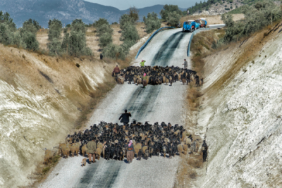 7. TARIM VE İNSAN FOTOĞRAF YARIŞMASI - Hakan YARALI