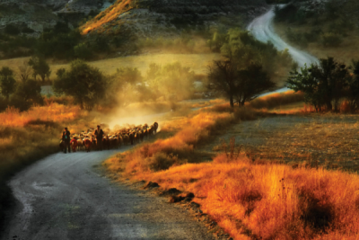 7. TARIM VE İNSAN FOTOĞRAF YARIŞMASI - Hikmet Cabar YAVUZAK