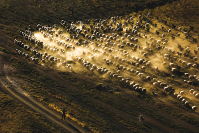 7. TARIM VE İNSAN FOTOĞRAF YARIŞMASI - İbrahim AYSÜNDÜ