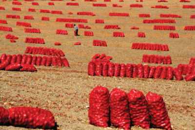7. TARIM VE İNSAN FOTOĞRAF YARIŞMASI - Kahraman BEKÇİLİ