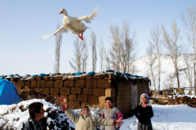 7. TARIM VE İNSAN FOTOĞRAF YARIŞMASI - Kahraman BEKÇİLİ