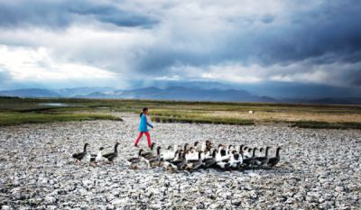 7. TARIM VE İNSAN FOTOĞRAF YARIŞMASI - Mehmet BEDİR 