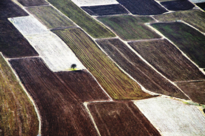 7. TARIM VE İNSAN FOTOĞRAF YARIŞMASI - Mehmet BEDİR 