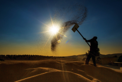 7. TARIM VE İNSAN FOTOĞRAF YARIŞMASI - Mesut SARAÇ