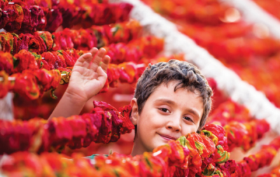 7. TARIM VE İNSAN FOTOĞRAF YARIŞMASI - Metin Burak  KINACILAR