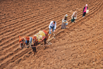 7. TARIM VE İNSAN FOTOĞRAF YARIŞMASI - Mustafa ZENGİN