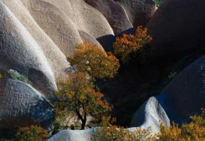 7. TARIM VE İNSAN FOTOĞRAF YARIŞMASI - Nuri  ÇORBACIOĞLU