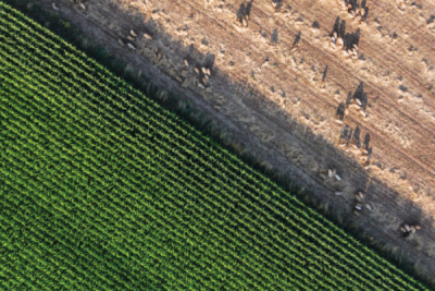 7. TARIM VE İNSAN FOTOĞRAF YARIŞMASI - Osman MAAŞLIOĞLU