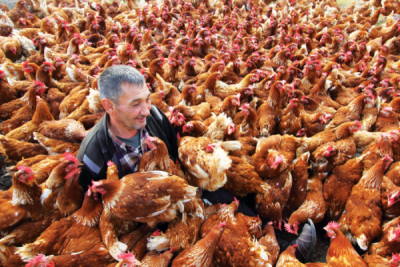 7. TARIM VE İNSAN FOTOĞRAF YARIŞMASI - Özgür KALAY