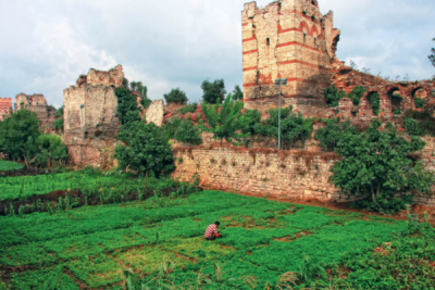 7. TARIM VE İNSAN FOTOĞRAF YARIŞMASI - Ramiz AKAR