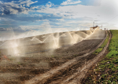 7. TARIM VE İNSAN FOTOĞRAF YARIŞMASI - Serkan ÖZKAN