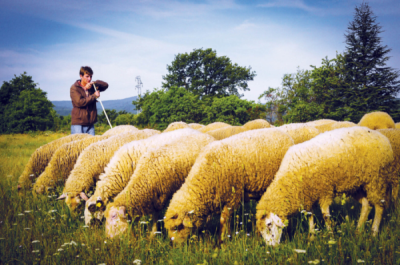 7. TARIM VE İNSAN FOTOĞRAF YARIŞMASI - Tarık EŞDİK