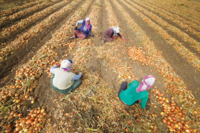 7. TARIM VE İNSAN FOTOĞRAF YARIŞMASI - Tufan BİLİR