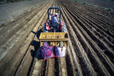 7. TARIM VE İNSAN FOTOĞRAF YARIŞMASI - Caner BAŞER
