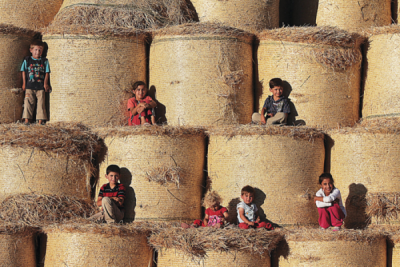 8. TARIM VE İNSAN FOTOĞRAF YARIŞMASI - Gülseren Sarıgül