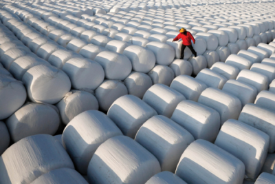 8. TARIM VE İNSAN FOTOĞRAF YARIŞMASI - İsa CIDA