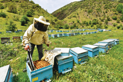 8. TARIM VE İNSAN FOTOĞRAF YARIŞMASI - Özkan OLCAY