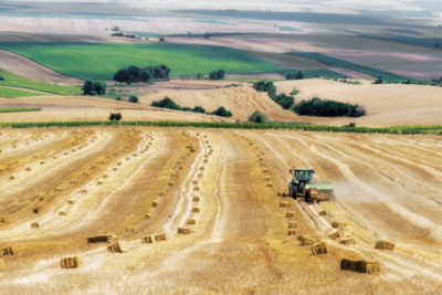 8. TARIM VE İNSAN FOTOĞRAF YARIŞMASI - Alev KIRCA