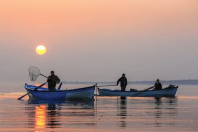 8. TARIM VE İNSAN FOTOĞRAF YARIŞMASI - Ali İhsan ÖZTÜRK