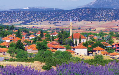 8. TARIM VE İNSAN FOTOĞRAF YARIŞMASI - Aydil Sefa ARAS