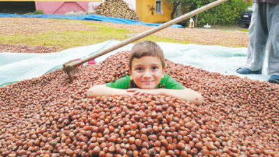 8. TARIM VE İNSAN FOTOĞRAF YARIŞMASI - Cengiz ŞAHİNOĞLU