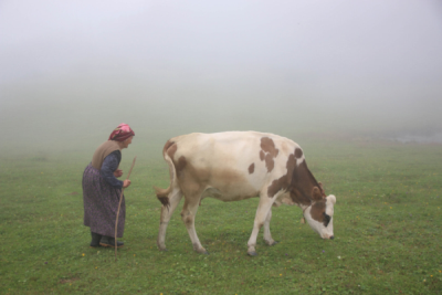 8. TARIM VE İNSAN FOTOĞRAF YARIŞMASI - Dursun Ali AKPINAR