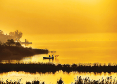 8. TARIM VE İNSAN FOTOĞRAF YARIŞMASI - Erdal YAVUZAK