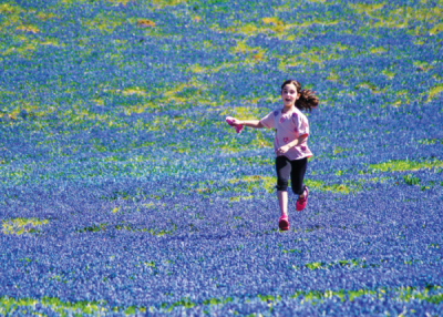8. TARIM VE İNSAN FOTOĞRAF YARIŞMASI - Erhan AYDIN