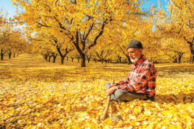 8. TARIM VE İNSAN FOTOĞRAF YARIŞMASI - Fuat YETKİN