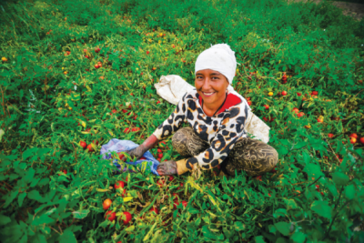 8. TARIM VE İNSAN FOTOĞRAF YARIŞMASI - Gizem Korulu TAŞKIN